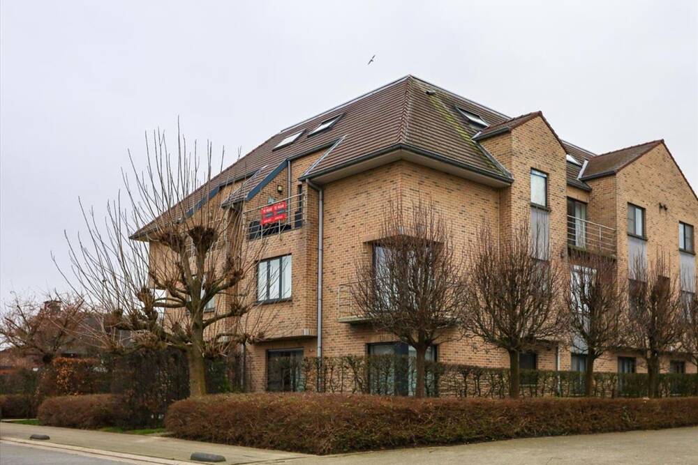 Duplex te  huur in Beveren-Waas 9120 835.00€ 3 slaapkamers 143.00m² - Zoekertje 845922