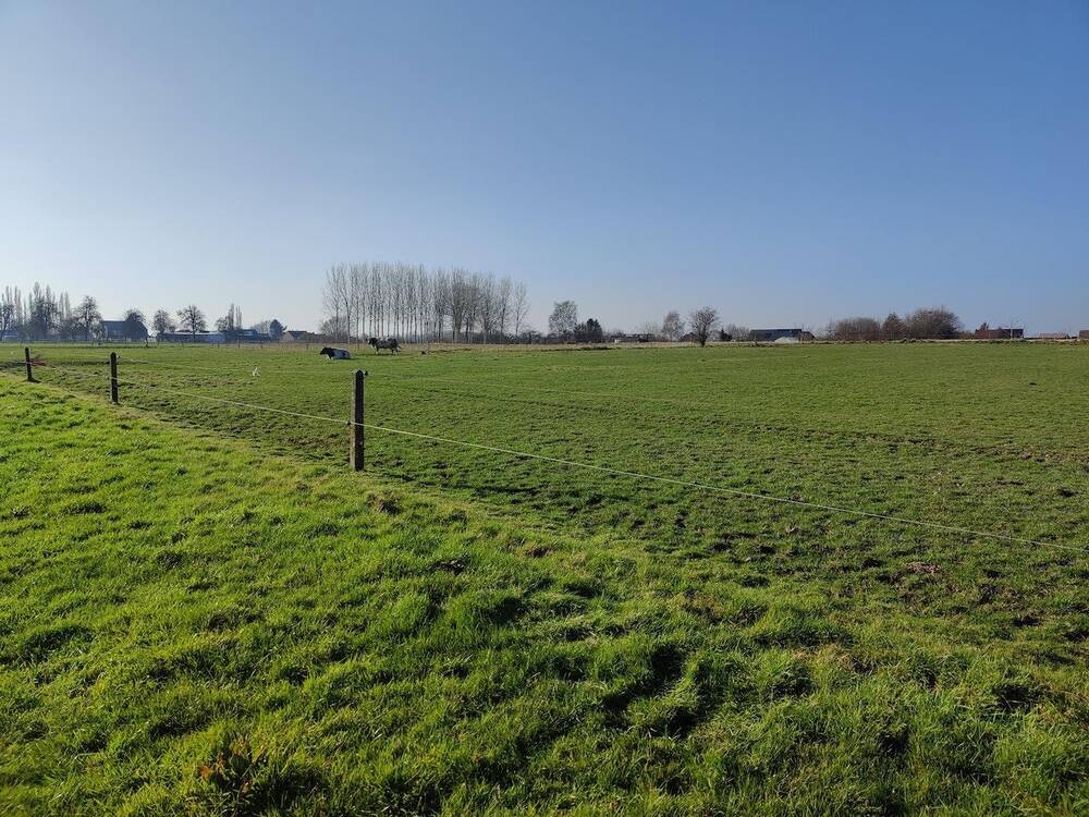 Grond te  koop in Erpe-Mere 9420 25000.00€  slaapkamers m² - Zoekertje 20760
