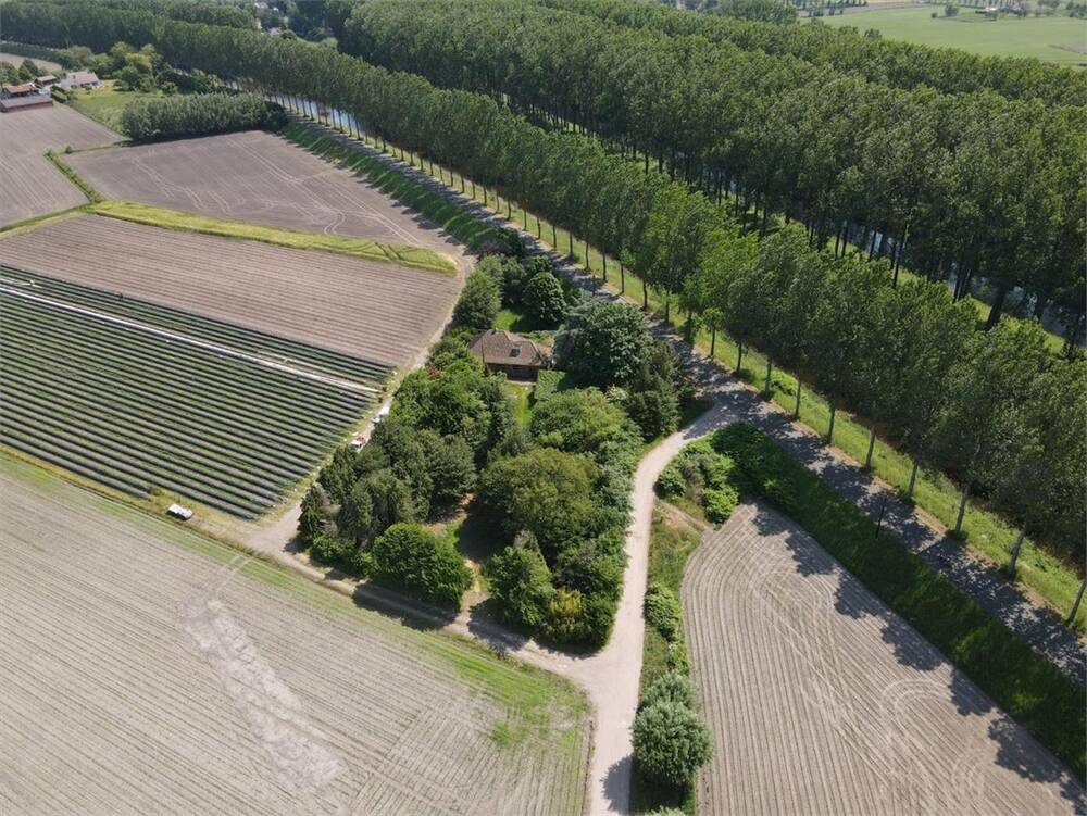 Grond te  koop in Middelburg 9992 549000.00€  slaapkamers m² - Zoekertje 32444