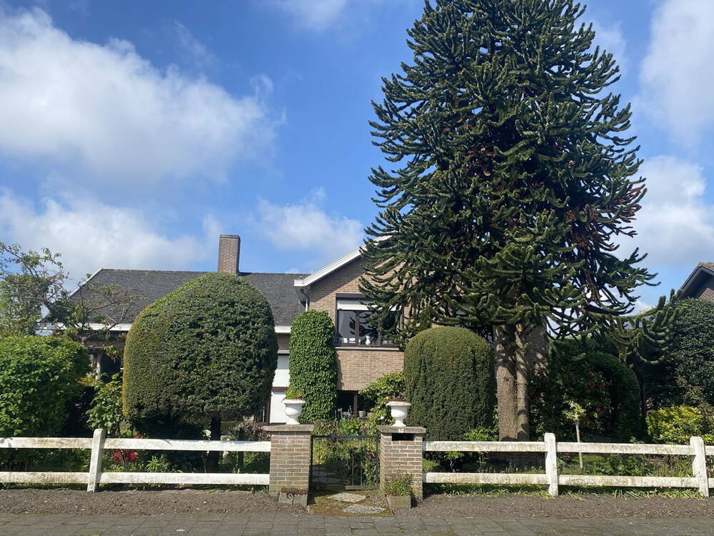 Huis te koop in Moerbeke-Waas 9180 355000.00€ 3 slaapkamers m² - Zoekertje 194133