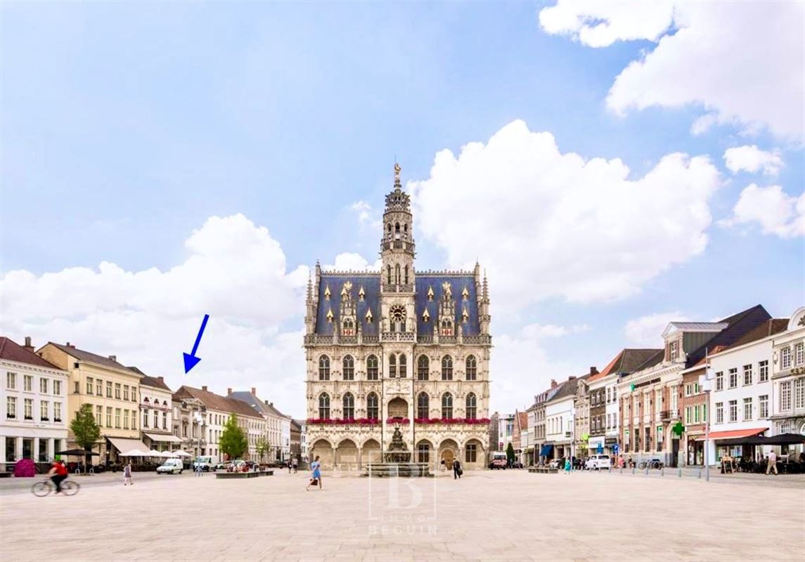 Commerciële ruimte te koop in Oudenaarde 9700 1295000.00€ 12 slaapkamers 1000.00m² - Zoekertje 280123