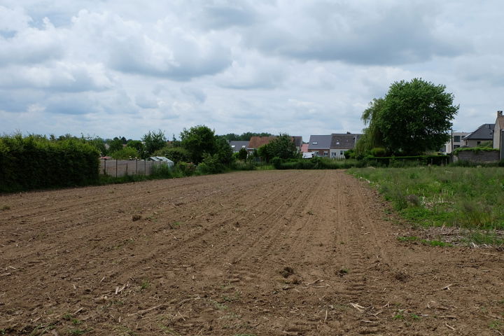 Bouwgrond te koop in Borsbeke 9552 287500.00€ slaapkamers m² - Zoekertje 280136