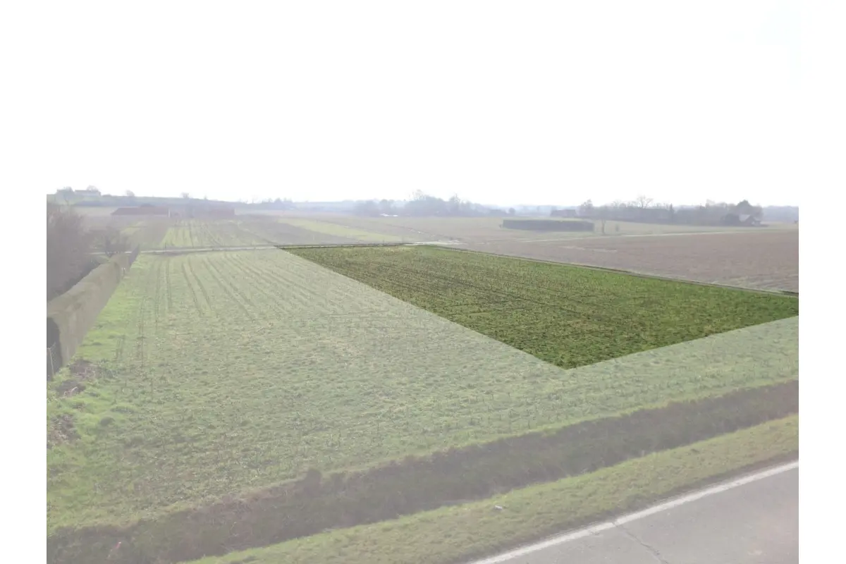 Bouwgrond te  koop in Oudenaarde 9700 250000.00€  slaapkamers m² - Zoekertje 201132