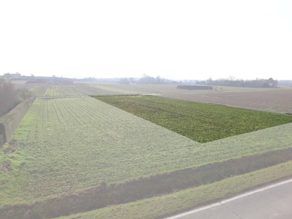 Bouwgrond te  koop in Oudenaarde 9700 250000.00€  slaapkamers m² - Zoekertje 201132