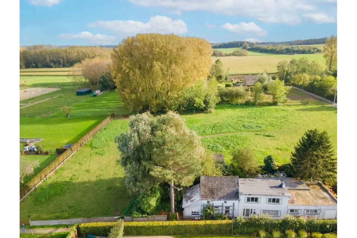 Grond te  koop in Sint-Lievens-Houtem 9520 85000.00€  slaapkamers m² - Zoekertje 230328