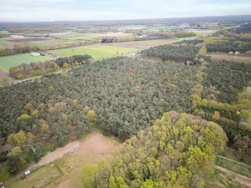 Niet bebouwbare grond te  koop in Moerbeke-Waas 9180 175000.00€ 0 slaapkamers m² - Zoekertje 266842