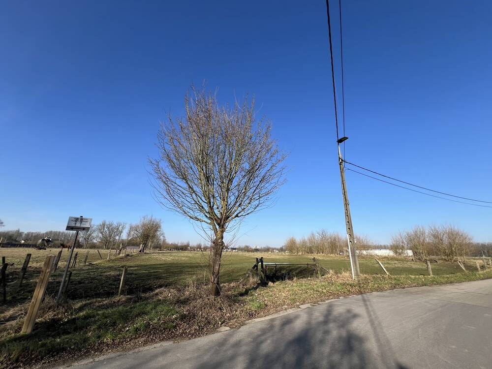 Niet bebouwbare grond te  koop in Nieuwerkerken 9320 80000.00€ 0 slaapkamers 99.00m² - Zoekertje 398299