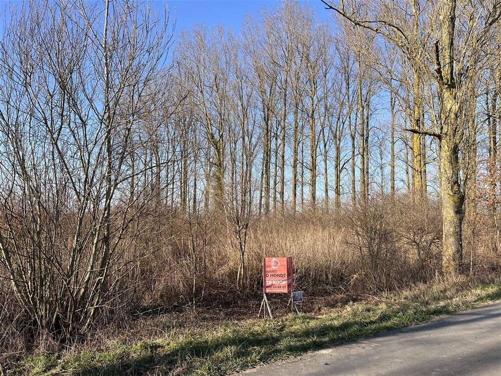 Niet bebouwbare grond te  koop in Nederename 9700 42900.00€  slaapkamers m² - Zoekertje 411375