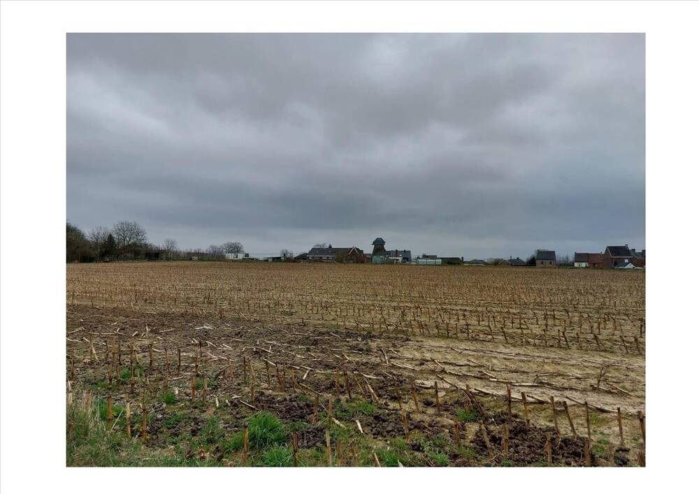 Niet bebouwbare grond te  koop in Balegem 9860 100000.00€  slaapkamers m² - Zoekertje 416184