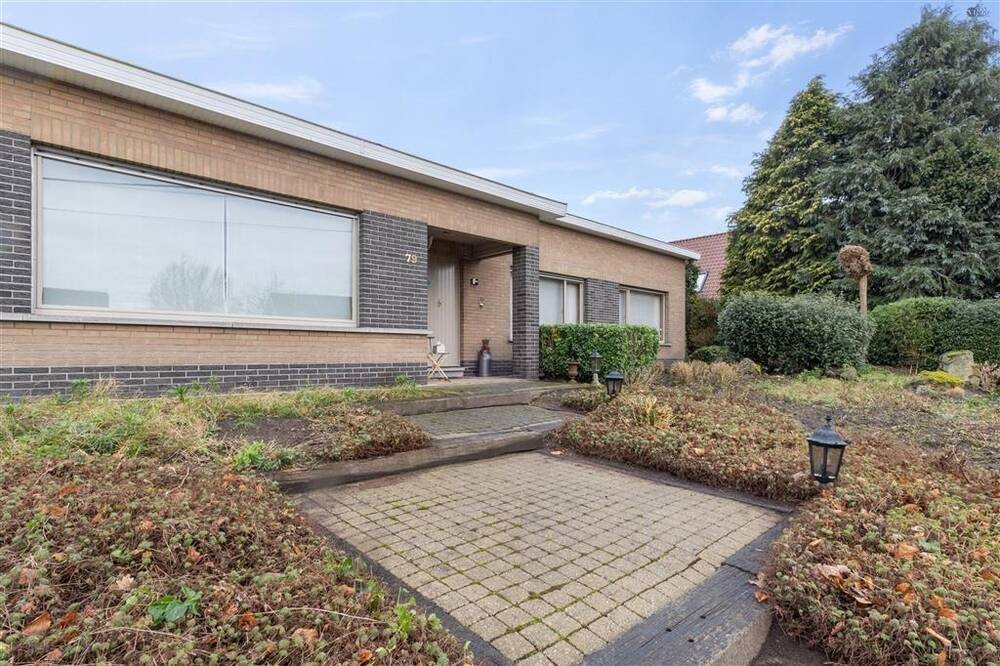 Huis te koop in Moerbeke-Waas 9180 398000.00€ 3 slaapkamers 180.00m² - Zoekertje 423500