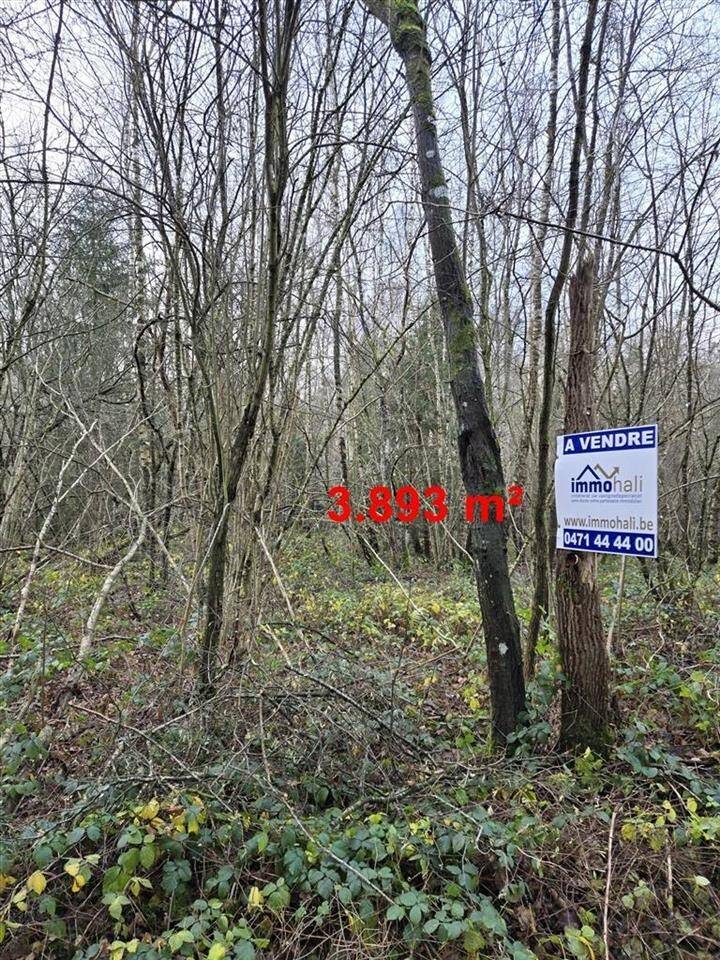 Bouwgrond te  in Soy 6997 94000.00€  slaapkamers m² - Zoekertje 433473