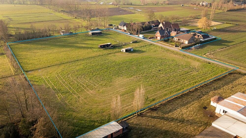 Huis te koop in Maldegem 9990 795000.00€ 4 slaapkamers 251.00m² - Zoekertje 438140