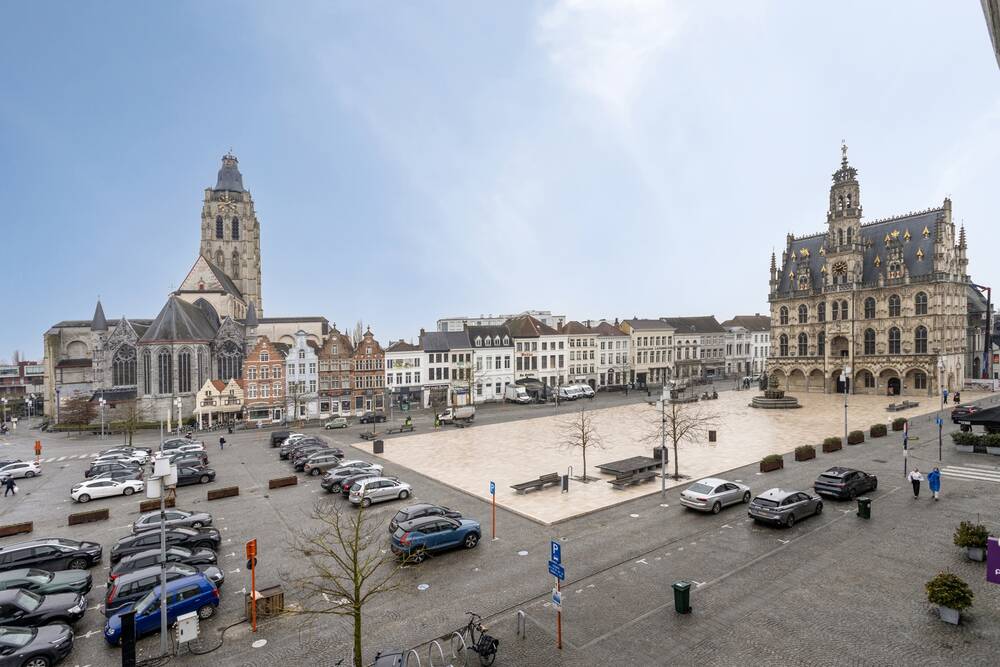 Handelszaak te  koop in Oudenaarde 9700 625000.00€  slaapkamers 310.00m² - Zoekertje 441914