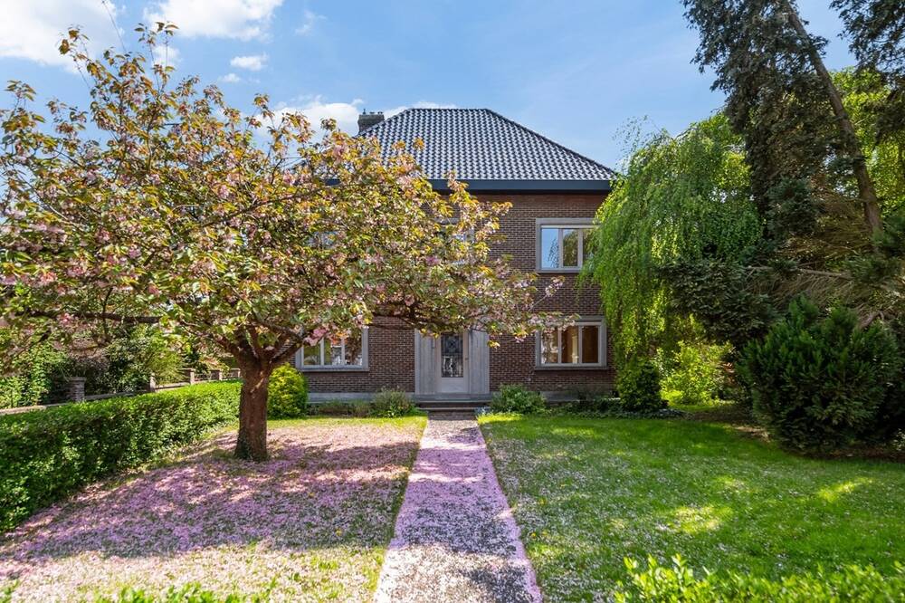 Huis te huur in De Pinte 9840 1650.00€ 4 slaapkamers 240.00m² - Zoekertje 469921