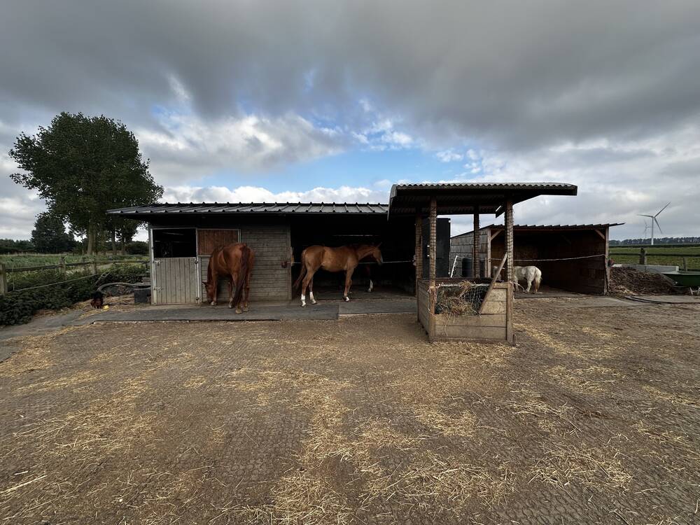 Niet bebouwbare grond te  koop in Beveren-Waas 9120 115000.00€  slaapkamers m² - Zoekertje 478909