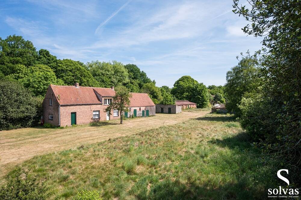 Handelszaak te koop in Maldegem 9990 799000.00€ slaapkamers m² - Zoekertje 504288