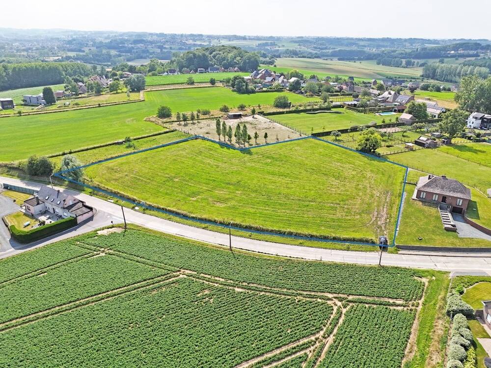 Grond te  koop in Zottegem 9620 950000.00€  slaapkamers m² - Zoekertje 511681