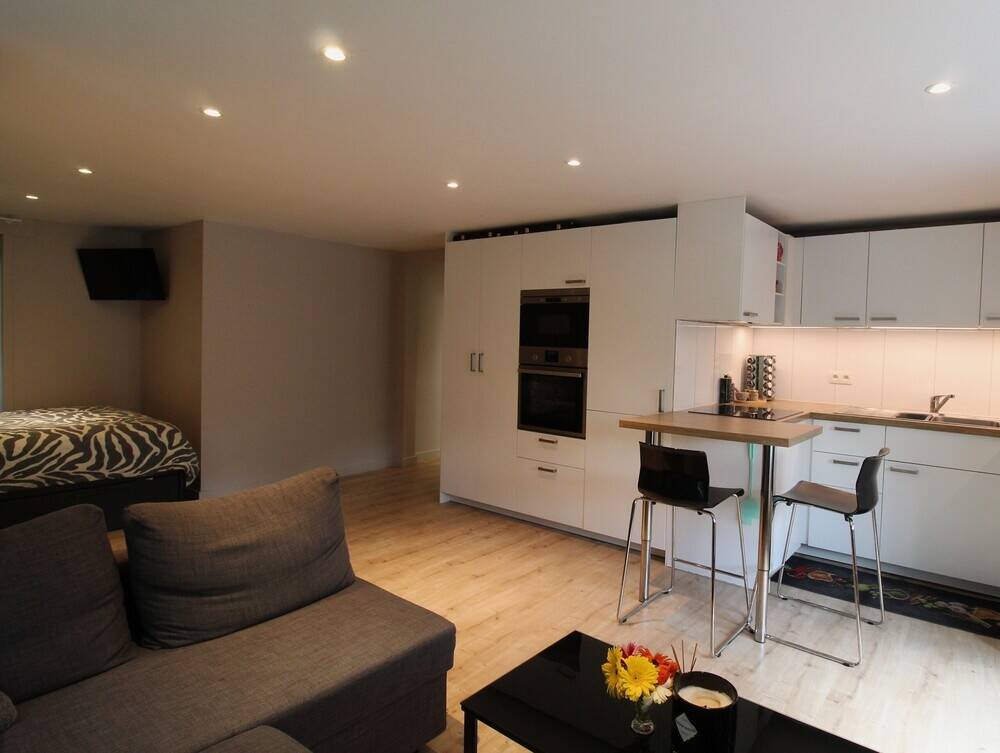 Appartement te  koop in Bottelare 9820 169000.00€ 1 slaapkamers 45.00m² - Zoekertje 523151