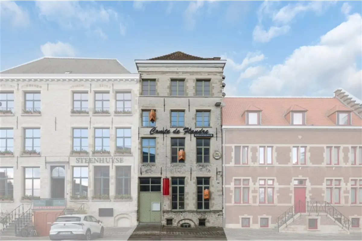 Handelszaak te  koop in Oudenaarde 9700 1325000.00€  slaapkamers 350.00m² - Zoekertje 528802