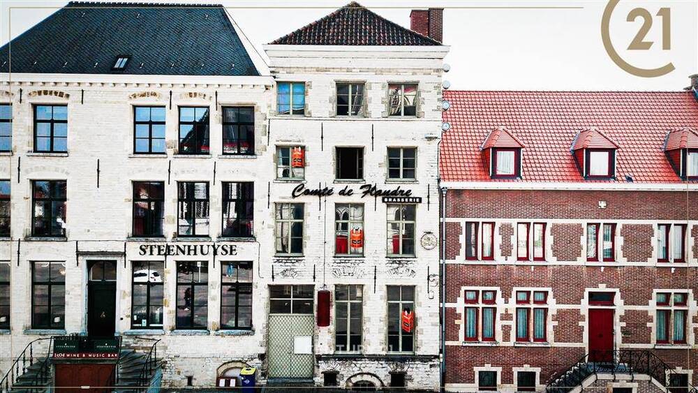 Handelszaak te koop in Oudenaarde 9700 1325000.00€ slaapkamers 350.00m² - Zoekertje 528802