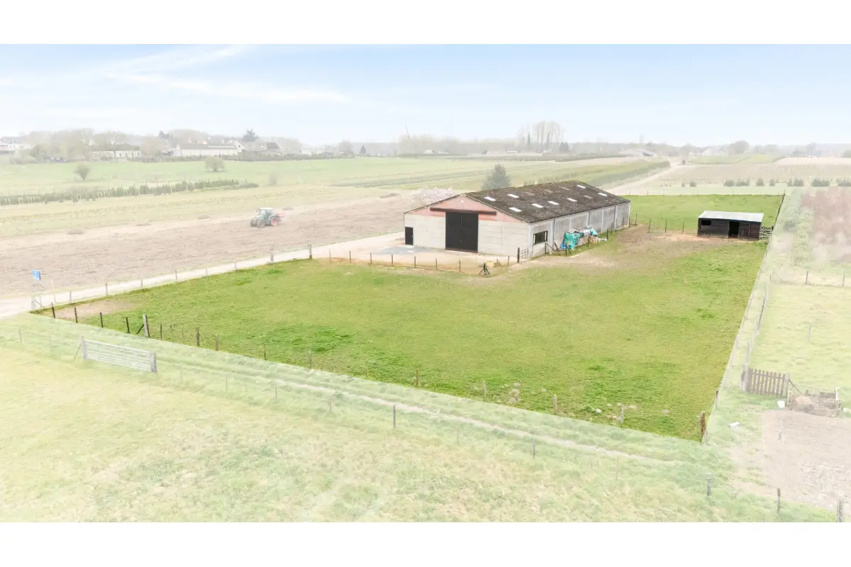 Handelszaak te  koop in Lede 9340 325000.00€  slaapkamers 484.00m² - Zoekertje 529370