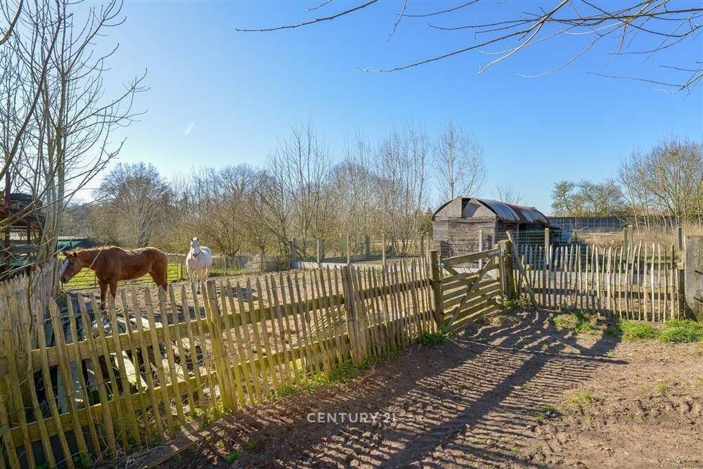 Boerderij te  koop in Oosterzele 9860 499000.00€ 5 slaapkamers 325.00m² - Zoekertje 528807