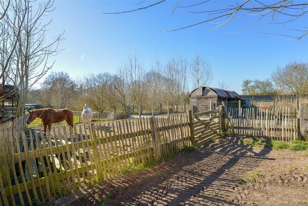 Handelszaak te  koop in Oosterzele 9860 499000.00€ 5 slaapkamers 325.00m² - Zoekertje 528807