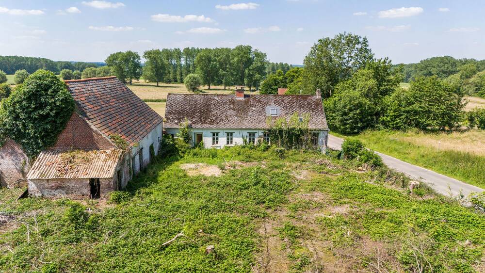 Bungalow te  koop in Denderwindeke 9400 390000.00€ 3 slaapkamers 282.00m² - Zoekertje 535595