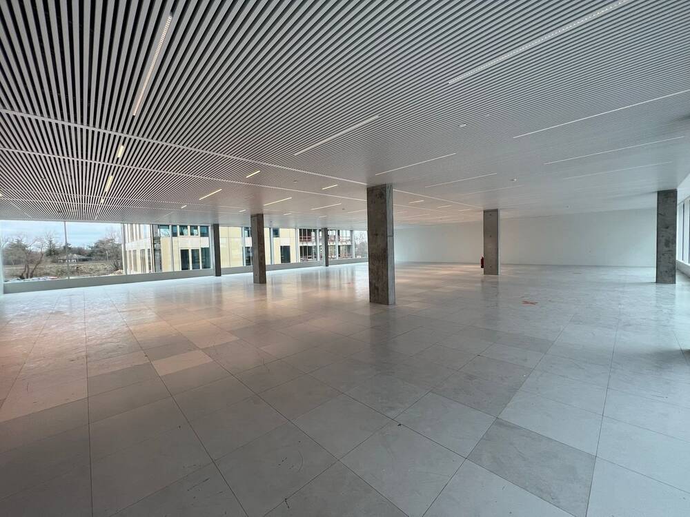 Handelszaak te huur in Sint-Denijs-Westrem 9051 6250.00€ slaapkamers 500.00m² - Zoekertje 538789