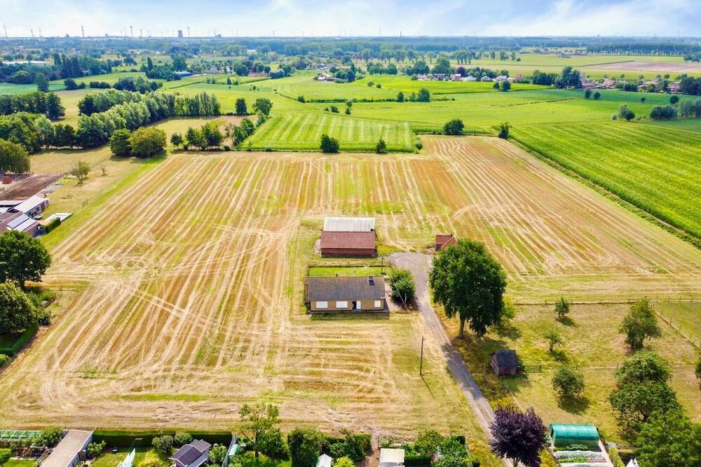 Huis te koop in Bassevelde 9968 650000.00€ 3 slaapkamers 177.00m² - Zoekertje 557979