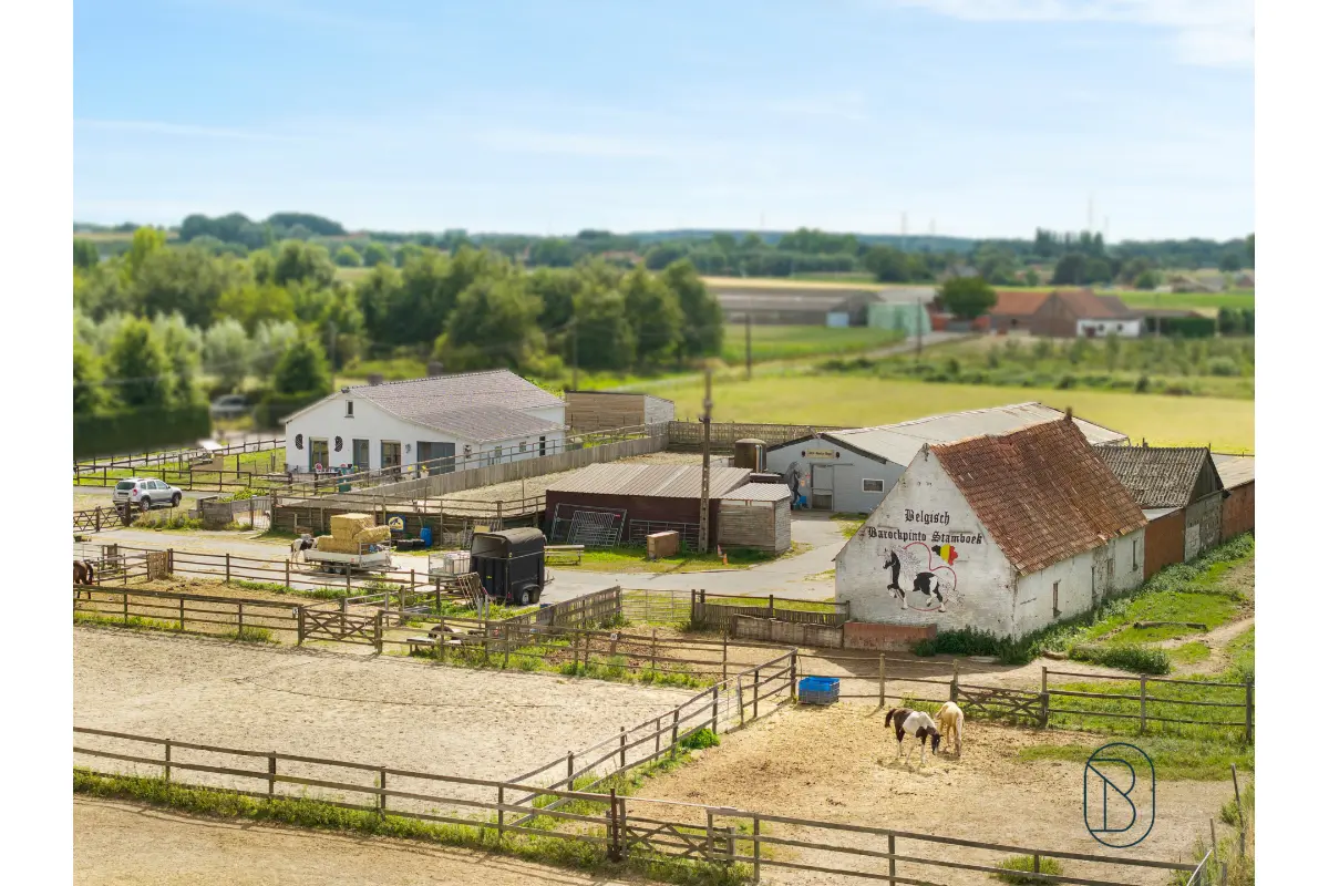 Huis te  koop in Kruishoutem 9770 750000.00€ 4 slaapkamers 250.00m² - Zoekertje 567650