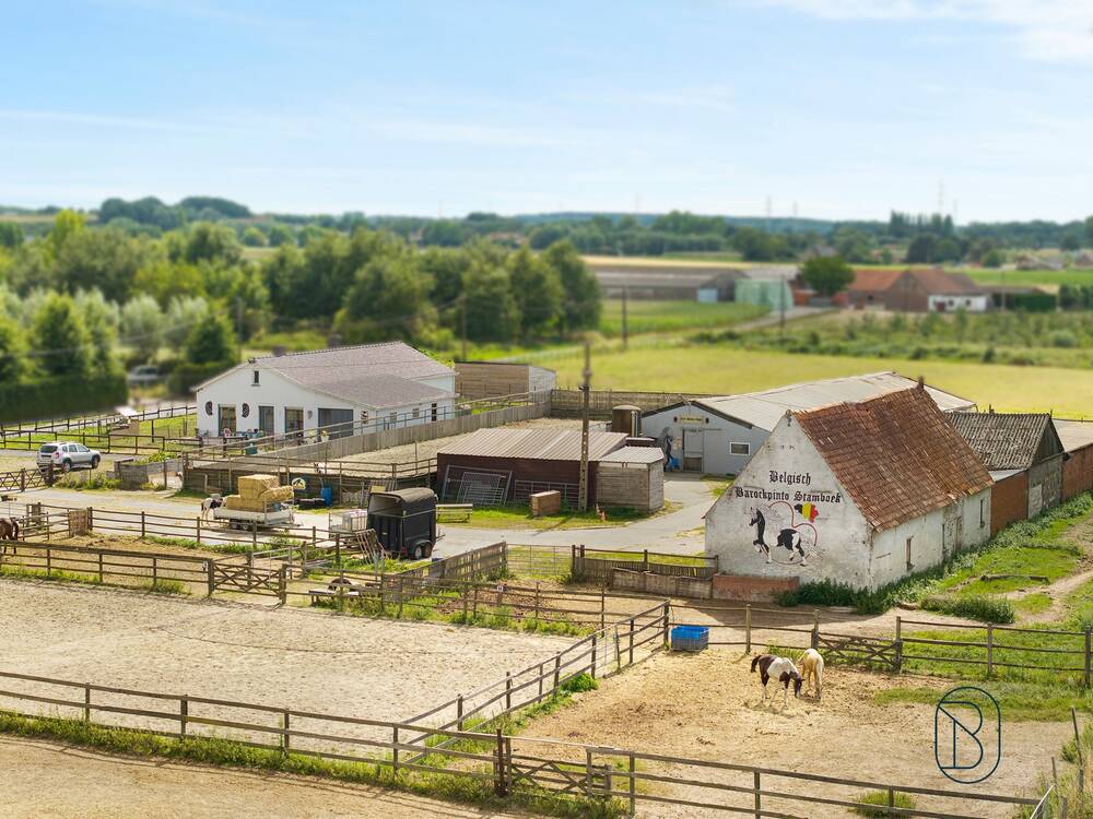 Bungalow te  koop in Kruishoutem 9770 750000.00€ 4 slaapkamers 250.00m² - Zoekertje 567650