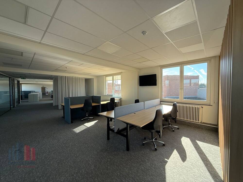 Handelszaak te  huur in Sint-Niklaas 9100 5333.00€  slaapkamers 800.00m² - Zoekertje 569404