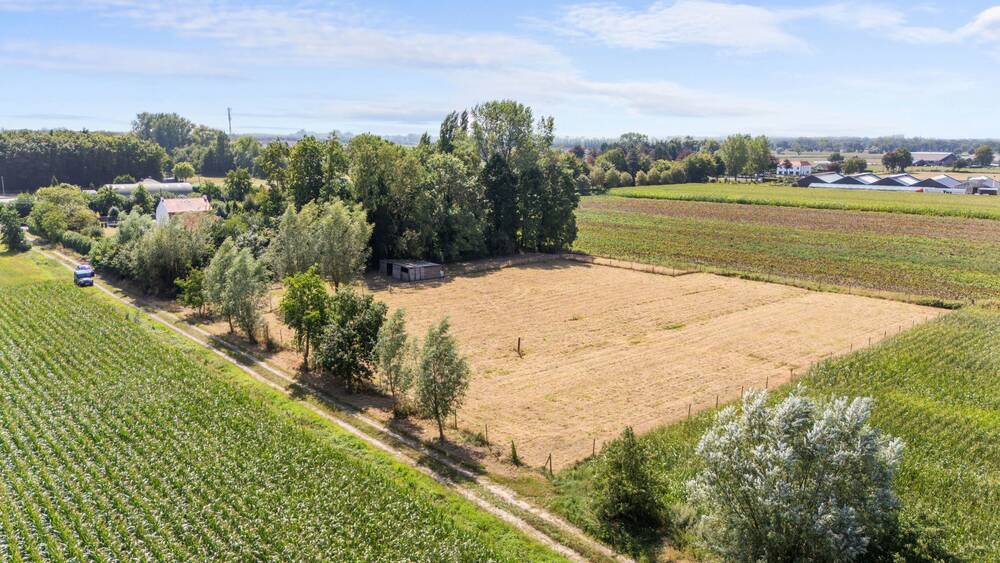 Grond te  koop in Maldegem 9990 59000.00€  slaapkamers m² - Zoekertje 585645