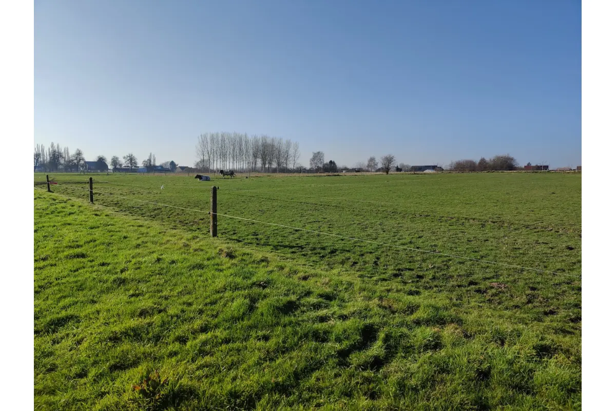 Grond te  koop in Erpe-Mere 9420 25000.00€  slaapkamers m² - Zoekertje 593693