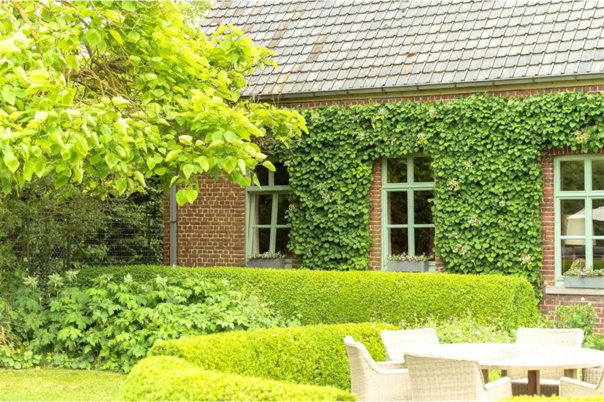 Huis te  in Zwevegem 8550 1079000.00€ 5 slaapkamers 237.00m² - Zoekertje 601025