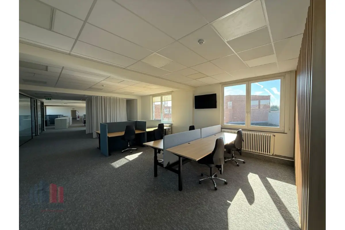 Handelszaak te  huur in Sint-Niklaas 9100 5333.00€  slaapkamers 800.00m² - Zoekertje 613430