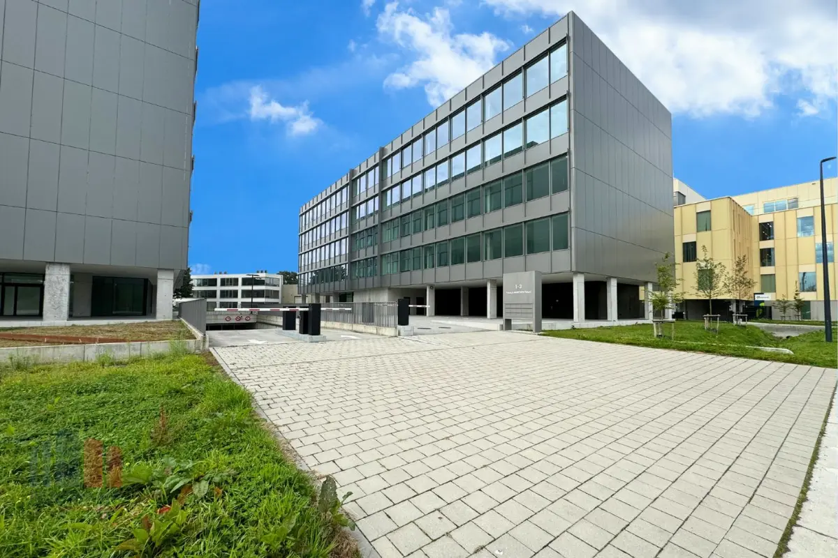 Handelszaak te  huur in Sint-Denijs-Westrem 9051 12500.00€  slaapkamers 1000.00m² - Zoekertje 615167