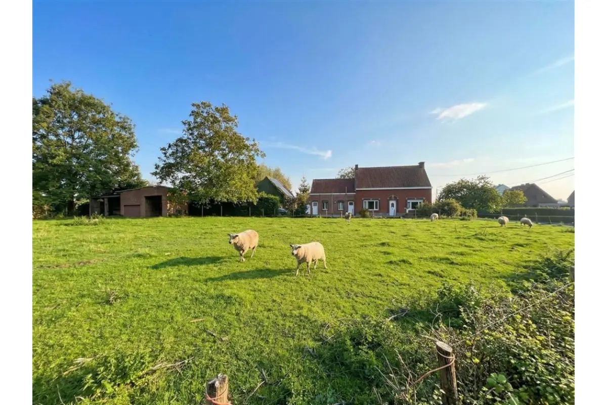 Handelszaak te  koop in Temse 9140 0.00€ 3 slaapkamers 132.00m² - Zoekertje 627797