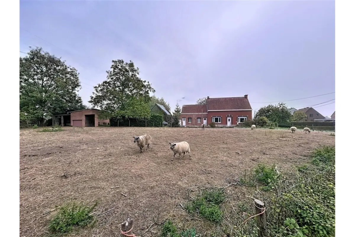 Handelszaak te  koop in Temse 9140 0.00€ 3 slaapkamers 132.00m² - Zoekertje 627797