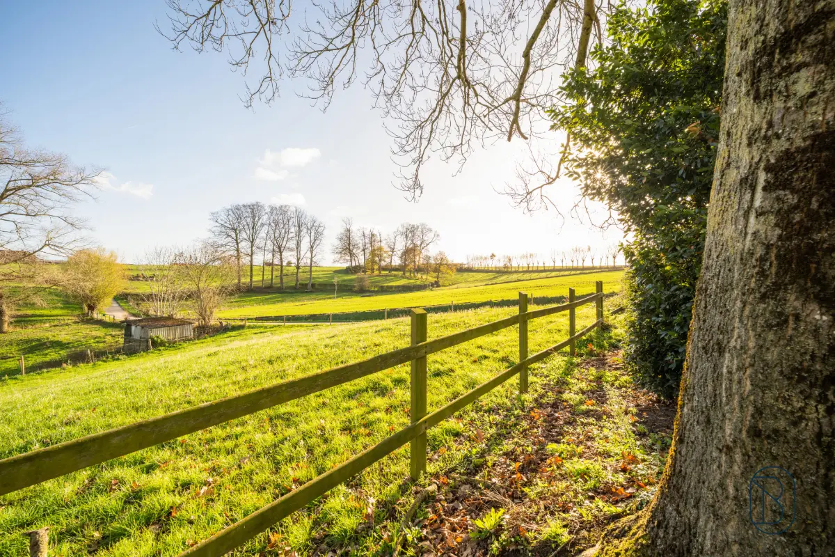 Huis te  koop in Nukerke 9681 1200000.00€ 4 slaapkamers 320.00m² - Zoekertje 630842