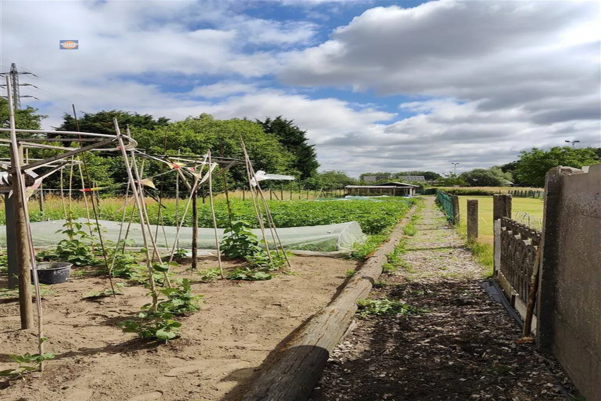 Grond te  koop in Lebbeke 9280 119000.00€  slaapkamers m² - Zoekertje 631262