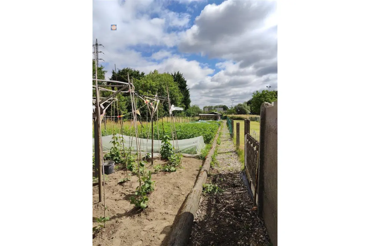 Grond te  koop in Lebbeke 9280 119000.00€  slaapkamers m² - Zoekertje 631262