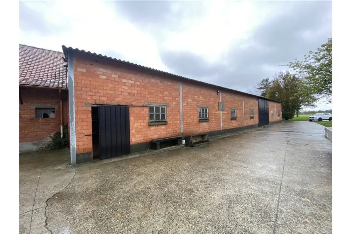 Handelszaak te  huur in Sint-Gillis-Waas 9170 1600.00€  slaapkamers 430.00m² - Zoekertje 650219