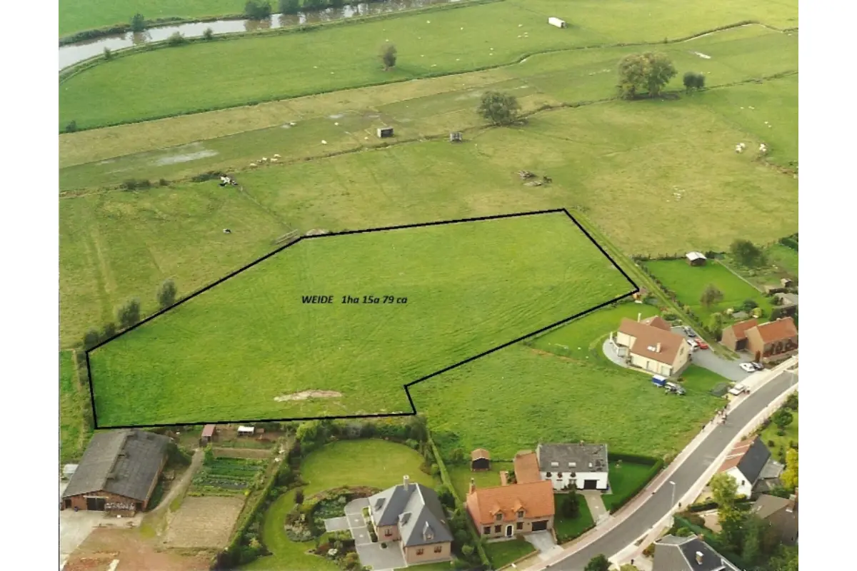 Niet bebouwbare grond te  koop in Pollare 9401 115000.00€  slaapkamers m² - Zoekertje 650392