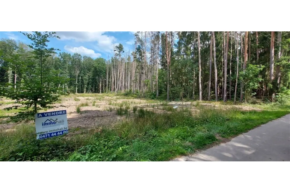 Bouwgrond te  in Erezée 6997 95000.00€  slaapkamers m² - Zoekertje 652353