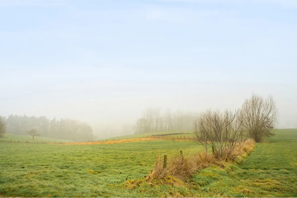 Huis te  koop in Brakel 9660 285000.00€ 4 slaapkamers 150.00m² - Zoekertje 675886