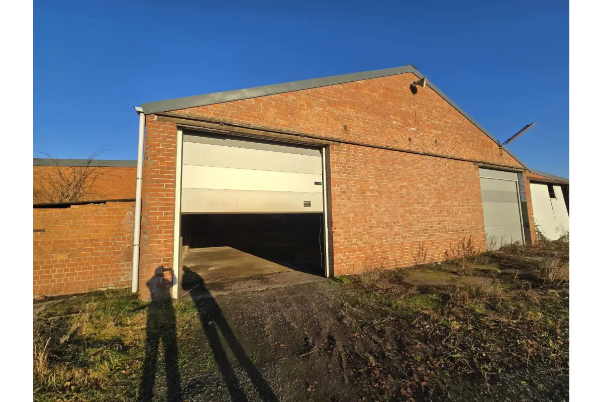 Handelszaak te  huur in Buggenhout 9255 3125.00€  slaapkamers 750.00m² - Zoekertje 683692