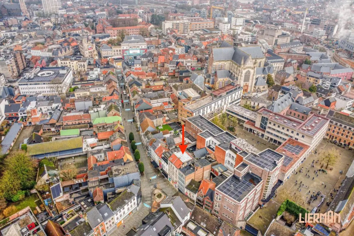 Appartement te  koop in Aalst 9300 850000.00€ 9 slaapkamers 730.00m² - Zoekertje 696758