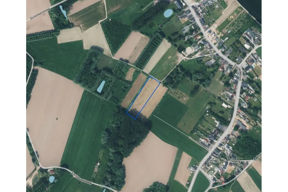 Grond te  koop in Baardegem 9310 36300.00€  slaapkamers m² - Zoekertje 710733